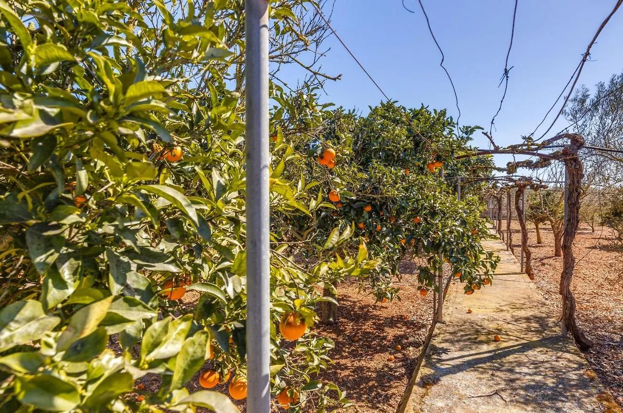 Finca Campas Villa Ariany Spanien
